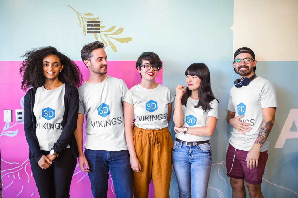 The 3D Vikings team